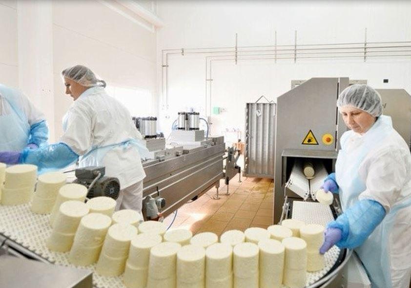 На урок – вместе: лицеисты посетили завод по изготовлению сыра