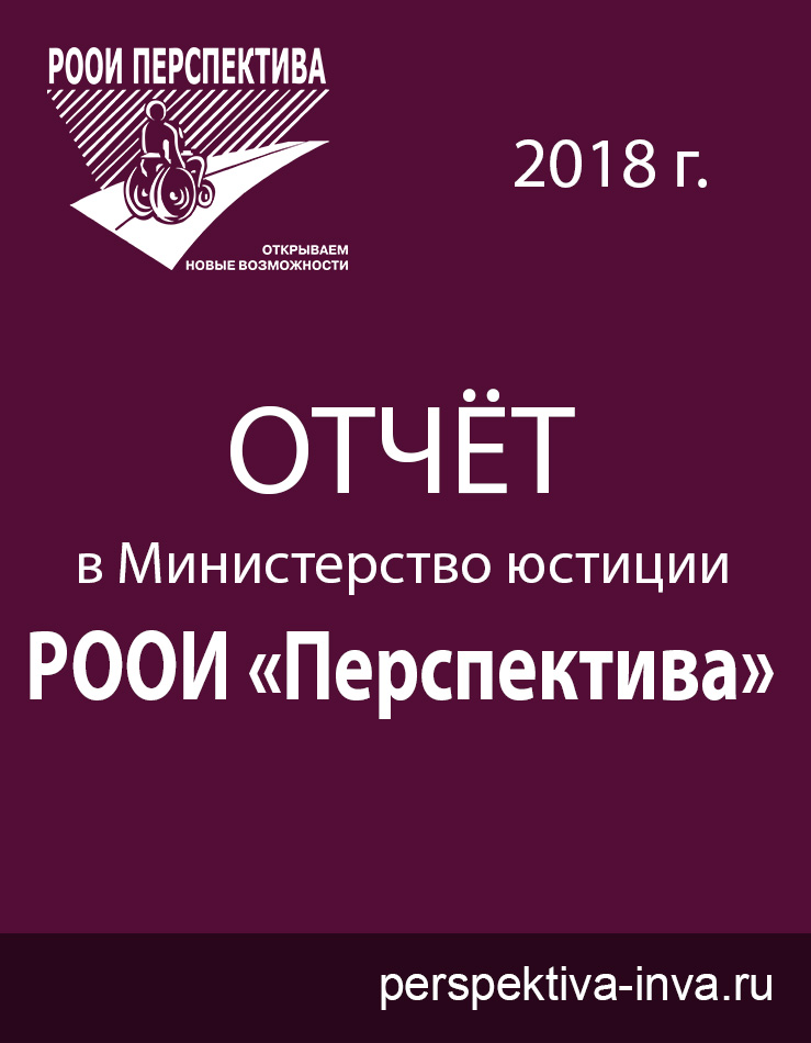 Отчёт РООИ «Перспектива» за 2018 г. в Министерство Юстиции