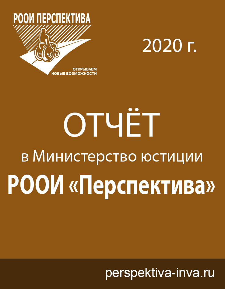 Отчёт РООИ «Перспектива» за 2020 г. в Министерство Юстиции