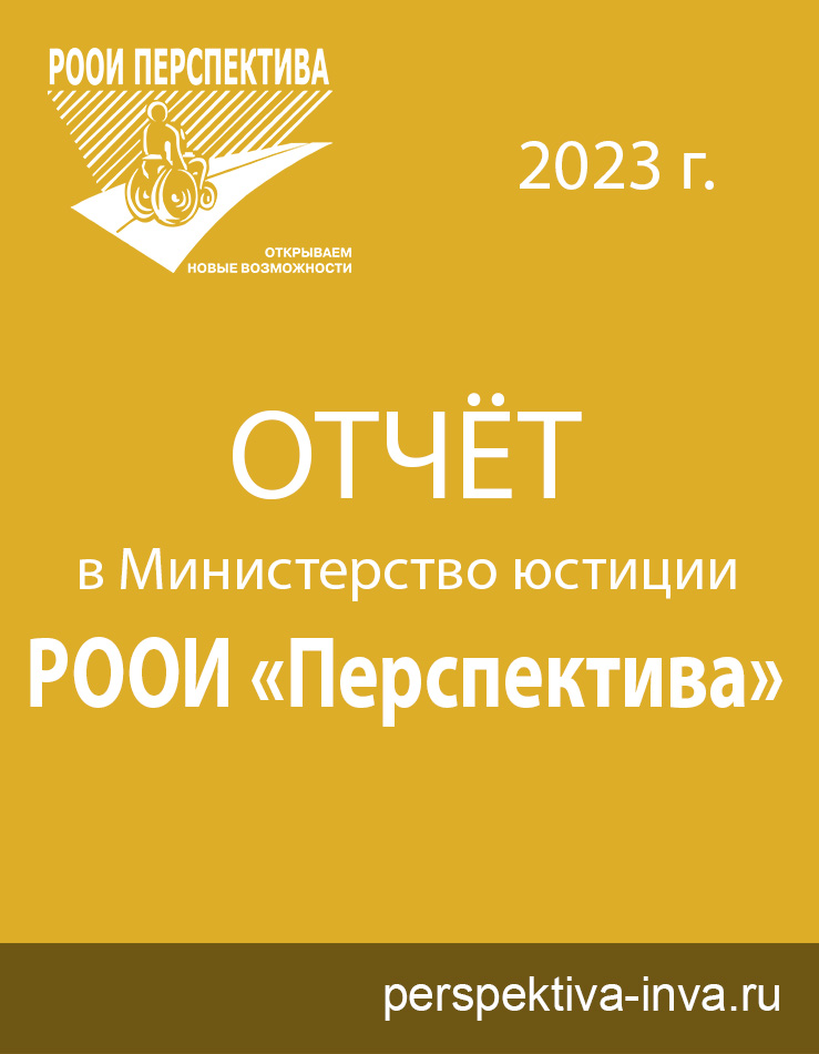 Отчёт РООИ «Перспектива» за 2023 г. в Министерство Юстиции
