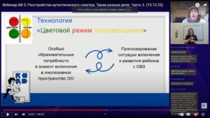 Скриншот видеозаписи вебинара 15 декабря 2023 о расстройствах аутистического спектра (часть 2)