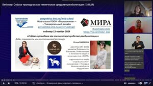 Скриншот видеозаписи вебинара 13 ноября 2024 о собаке-проводнике, как о техническом средстве реабилитации