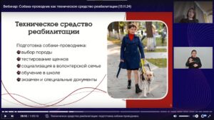 Скриншот видеозаписи вебинара 13 ноября 2024 о собаке-проводнике, как о техническом средстве реабилитации