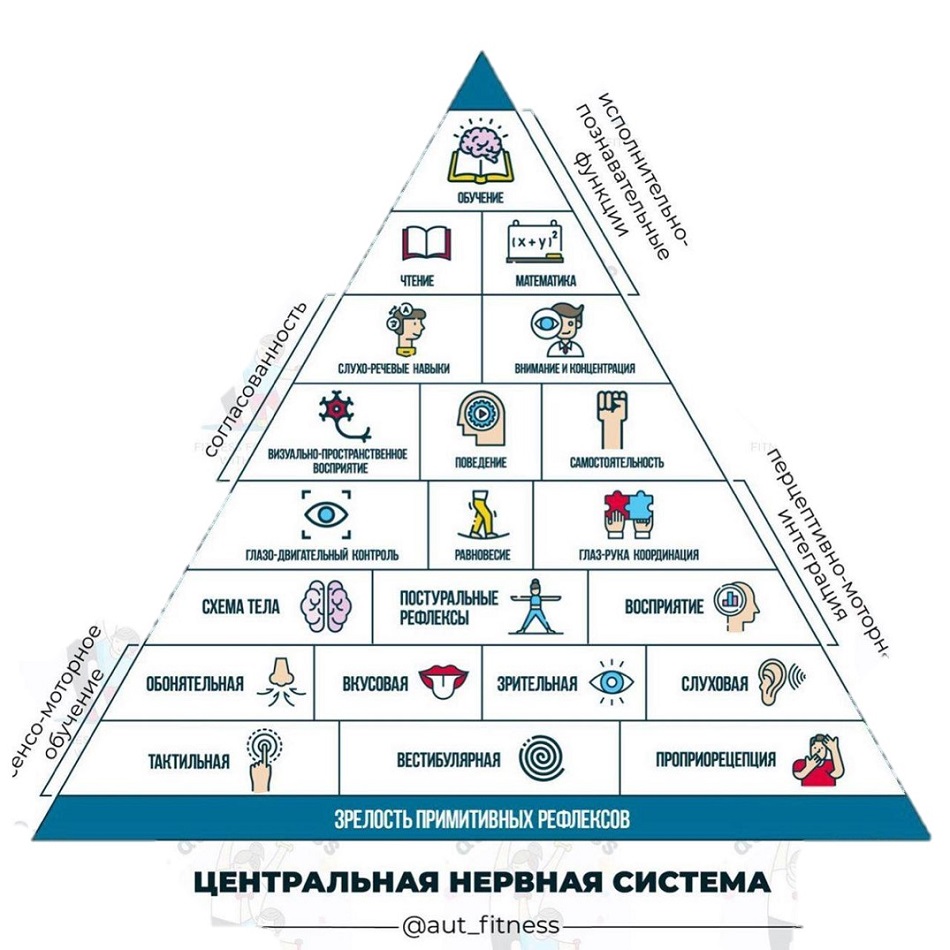 Графическая схема: пирамида обучения