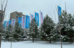 pic06194_04