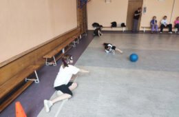 pic06271_04