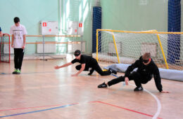 pic06341_11
