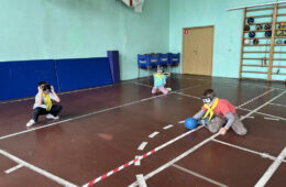 pic06606_02