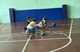 pic06606_07