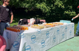 pic06610_07