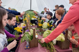 pic06655_10