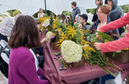 pic06655_11