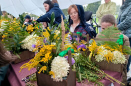 pic06655_12